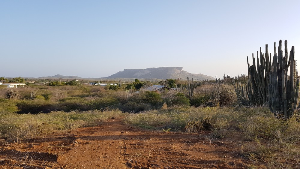 Property Land 6000m2 for sale